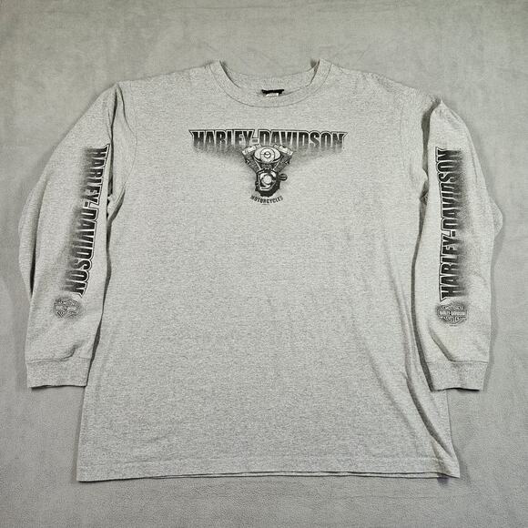 Vintage Harley Davidson T-Shirt Mens 2X Gray 2006 Y2K USA Daytona Biker Holoubek - Picture 1 of 15